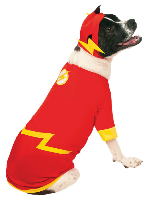 Costume de Flash pour animaux de compagnie