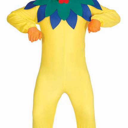 Costume de poulet L