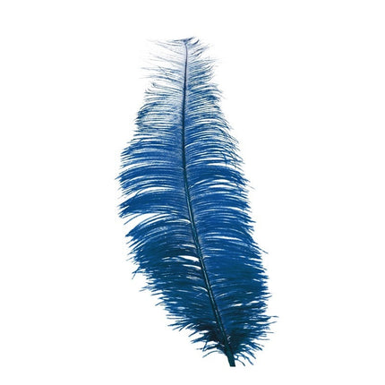 Plumes d'autruche bleues 30cm 12pcs