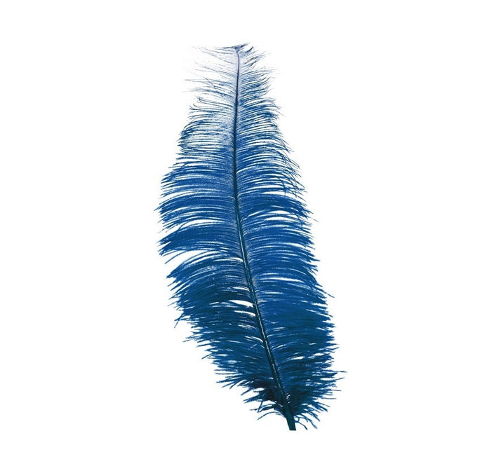 Plumes d'autruche bleues 30cm 12pcs