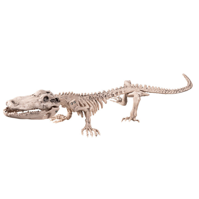 Halloween Crocodile Squelette 50cm