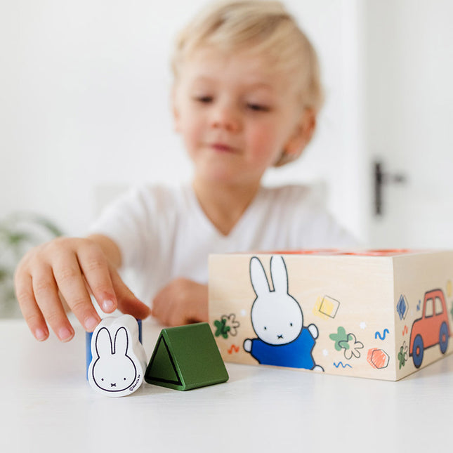 Arc en forme de Miffy