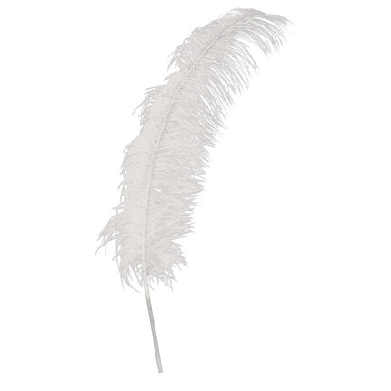 Plumes d'autruche blanches 50cm 12pcs