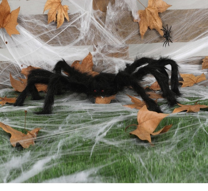 Araignée d'Halloween 60cm