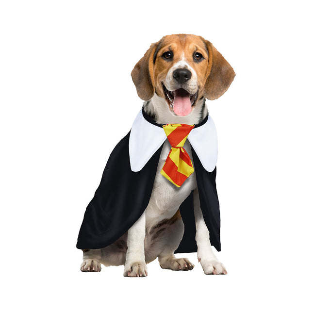 Costume Harry Potter pour chien