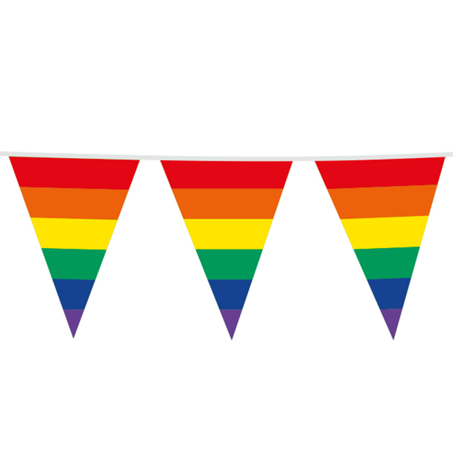 Guirlande arc-en-ciel 45Cm Drapeaux 10m