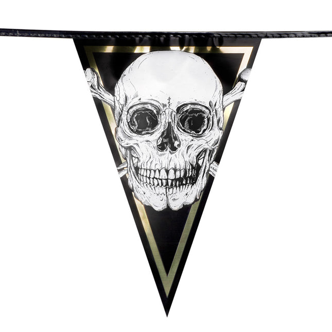 Pirate Flagline Skull 6m