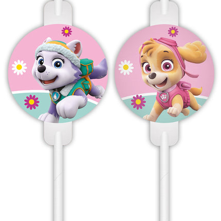 Paw Patrol pailles Skye et Everest 4pcs