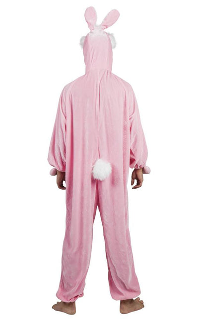 Costume de lapin