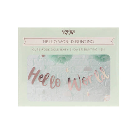 Guirlande de lettres or rose Hello World 1.5m