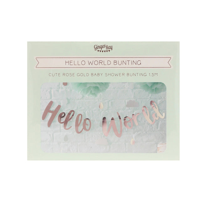 Guirlande de lettres or rose Hello World 1.5m