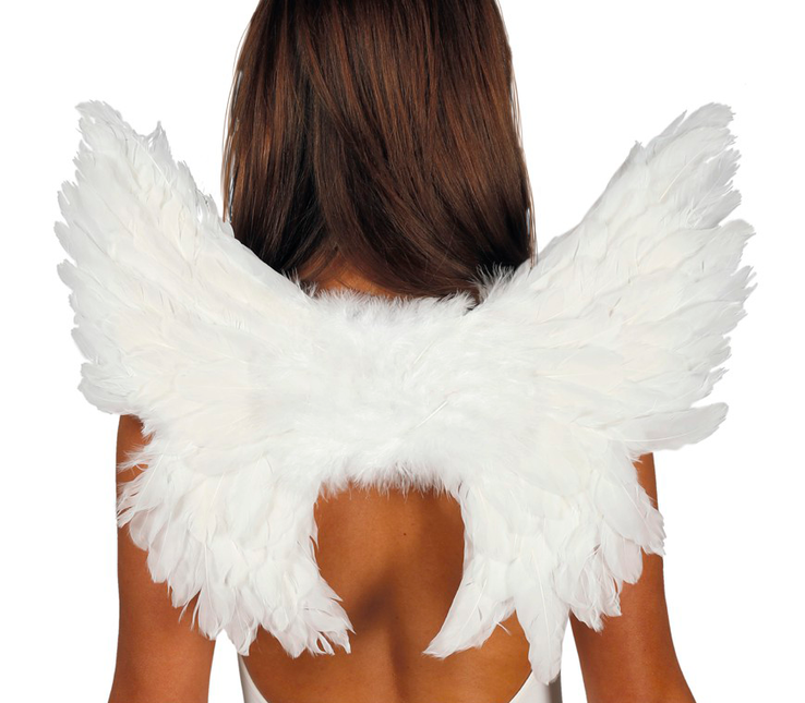 Plumes d'ailes blanches 50cm