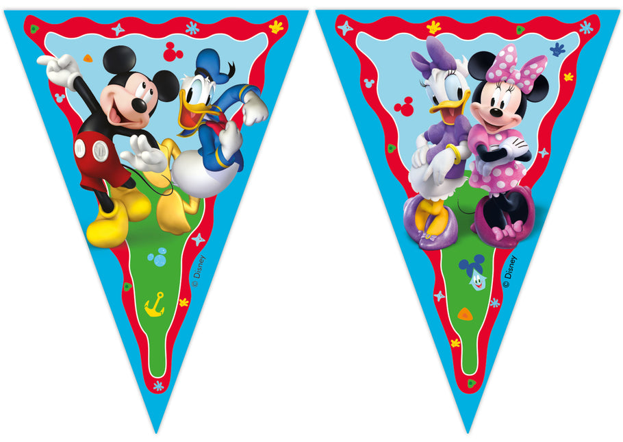 Mickey Rock The House Flag Line