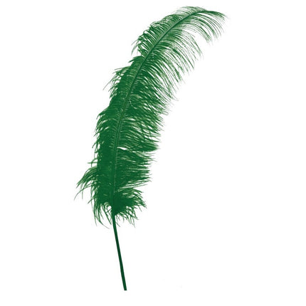 Plumes d'autruche vertes 50cm 12pcs