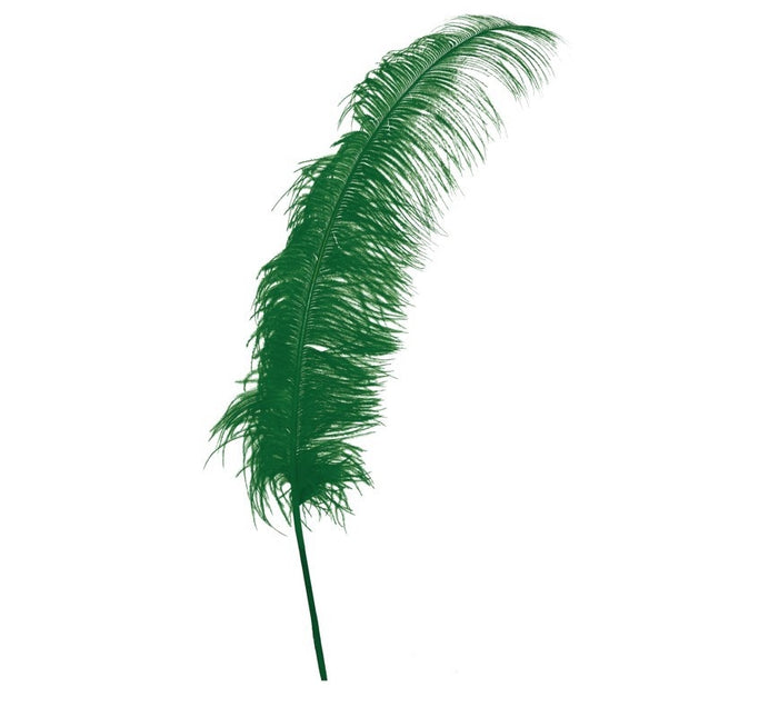 Plumes d'autruche vertes 50cm 12pcs