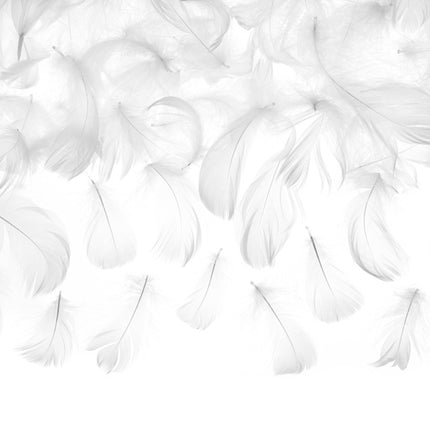 Plumes de décoration blanches 3g