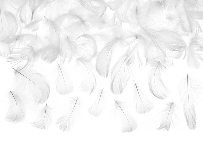 Plumes de décoration blanches 3g