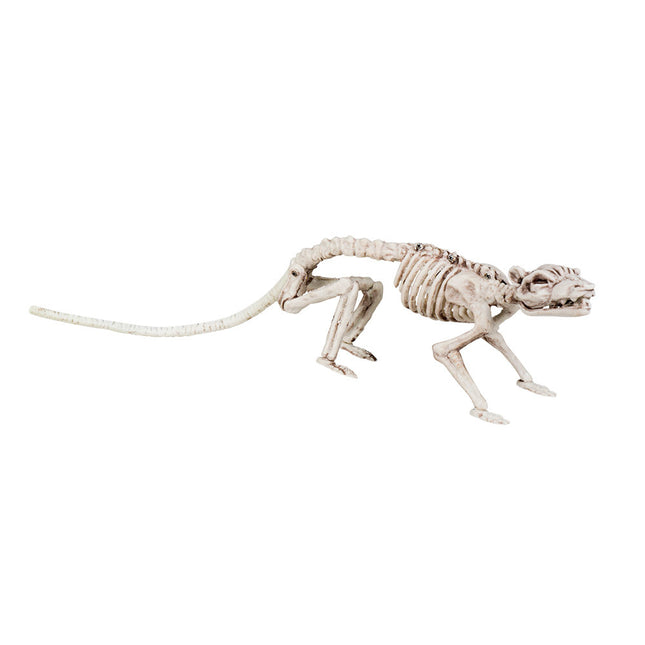 Halloween Squelette Rat 35cm