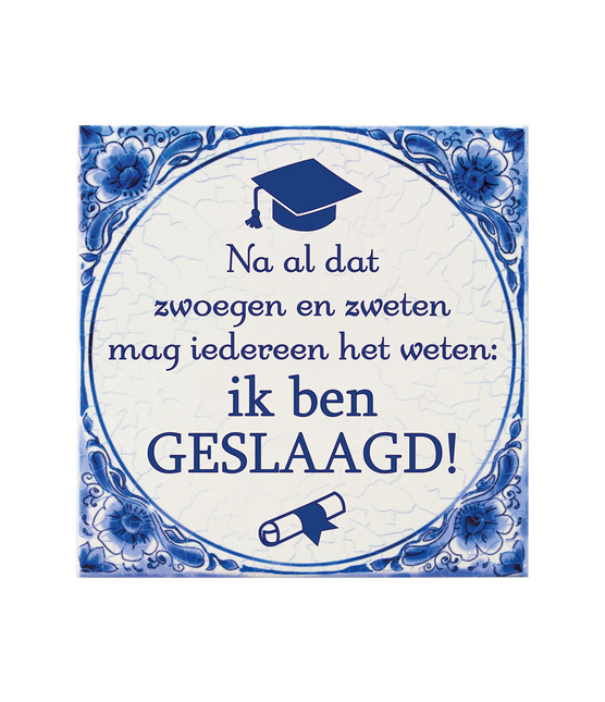 Carreau bleu de Delft Graduated School 15cm