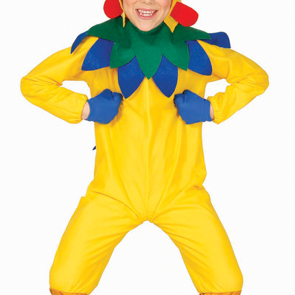 Costume de poulet pour enfant