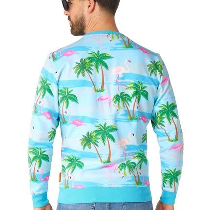 Pull Hawaii Flamingo Hommes OppoSuits