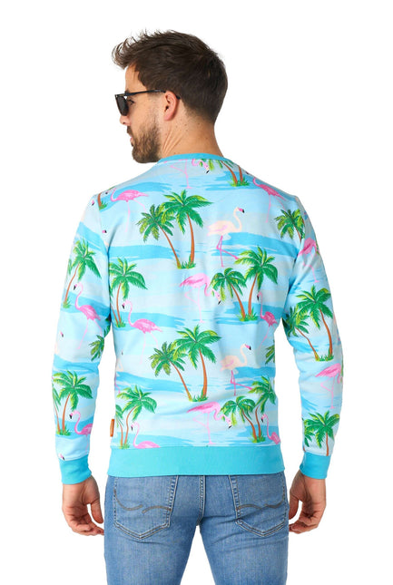 Pull Hawaii Flamingo Hommes OppoSuits