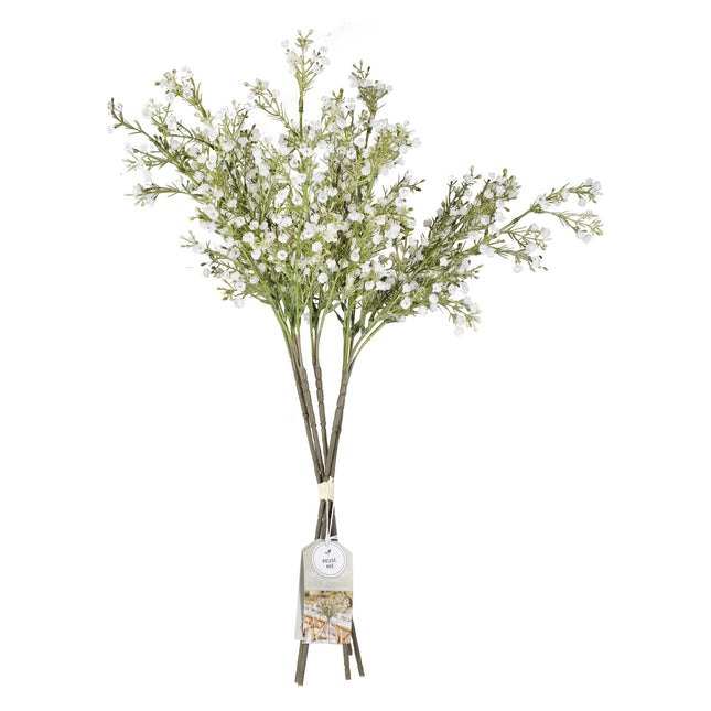 Fleurs sèches Gypsophilia Tiges 40cm 5pcs