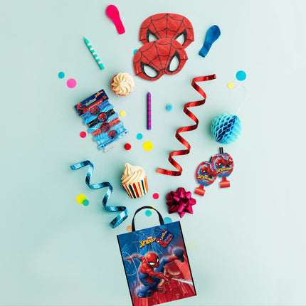 Sac Spiderman 33cm