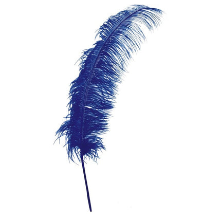 Plumes d'autruche bleues 50cm 12pcs