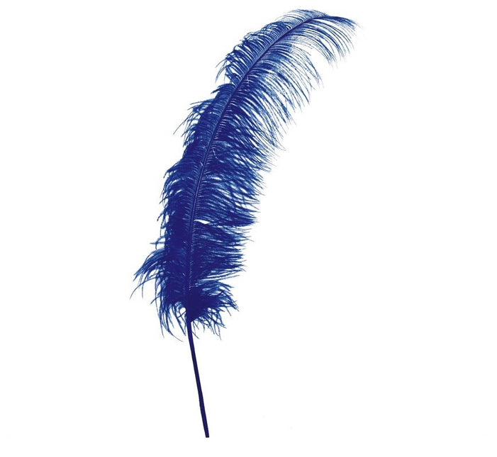 Plumes d'autruche bleues 50cm 12pcs