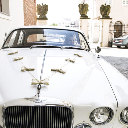 Ensemble de décoration de voiture Arcs de mariage