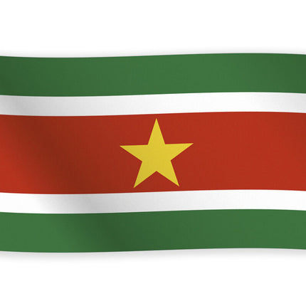 Drapeau Suriname 1.5m