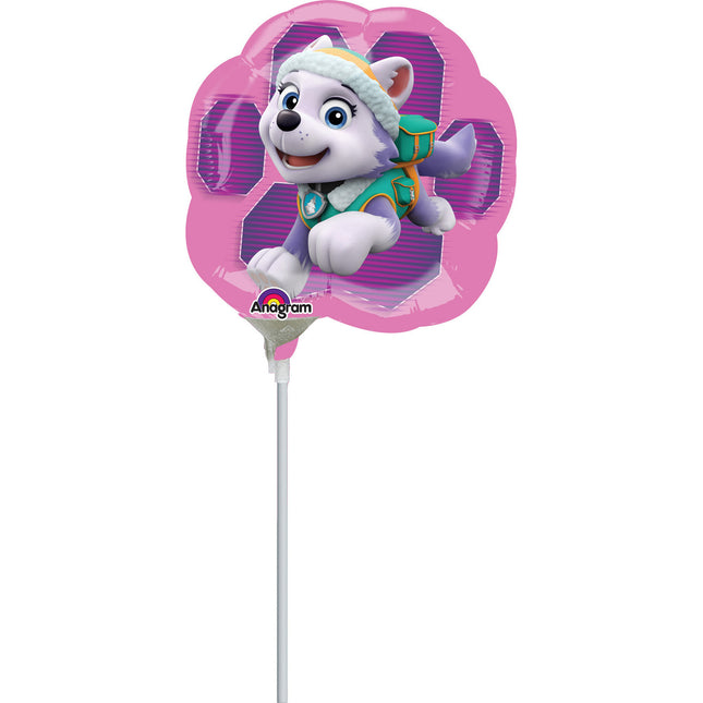 Paw Patrol Ballon de baudruche Skye & Everest Mini 23cm