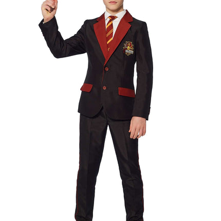 Costume Harry Potter Garçon Gryffondor