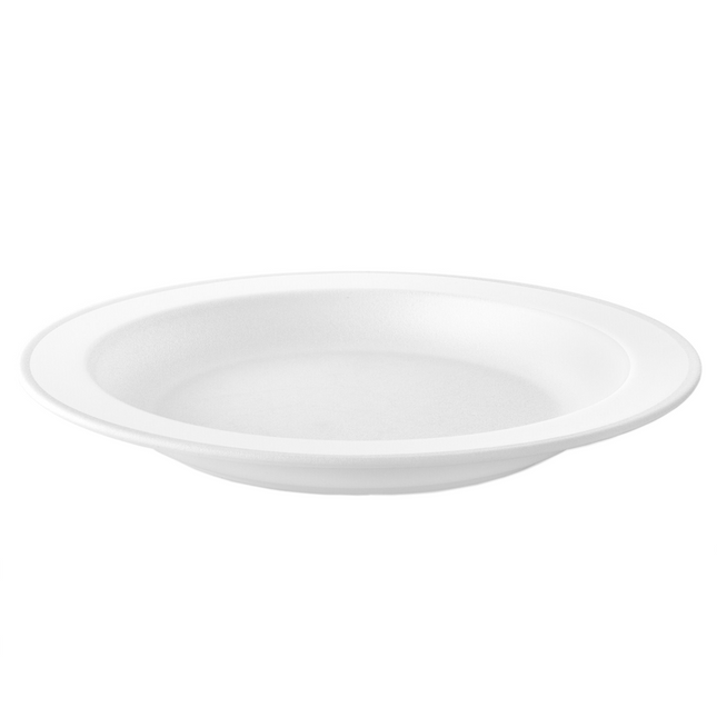 Assiettes blanches réutilisables 25cm 6pcs