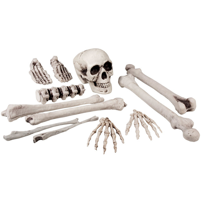 Set de squelettes pour Halloween 12 pièces