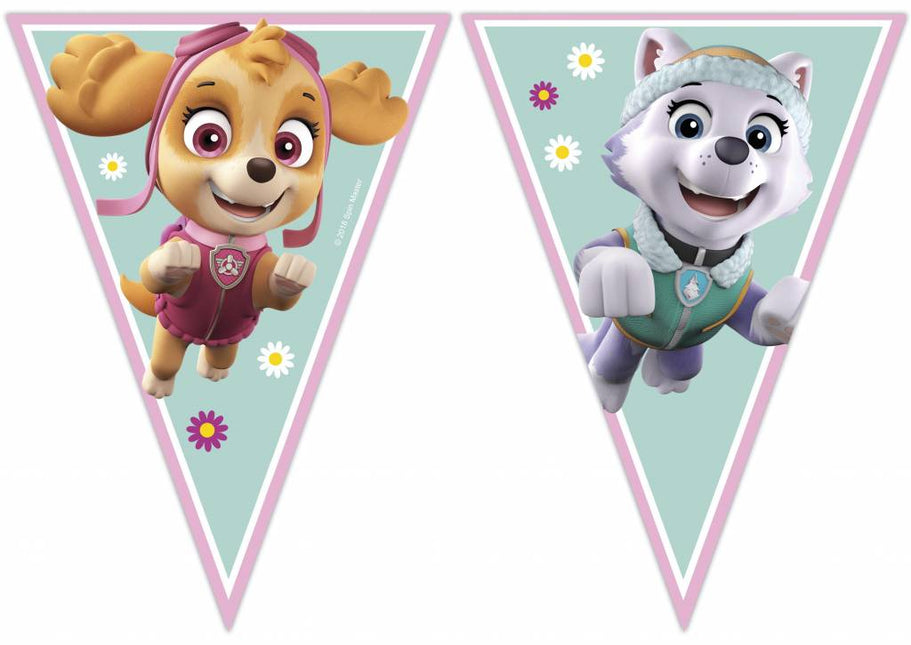 Fronde Paw Patrol Skye et Everest 2.3m