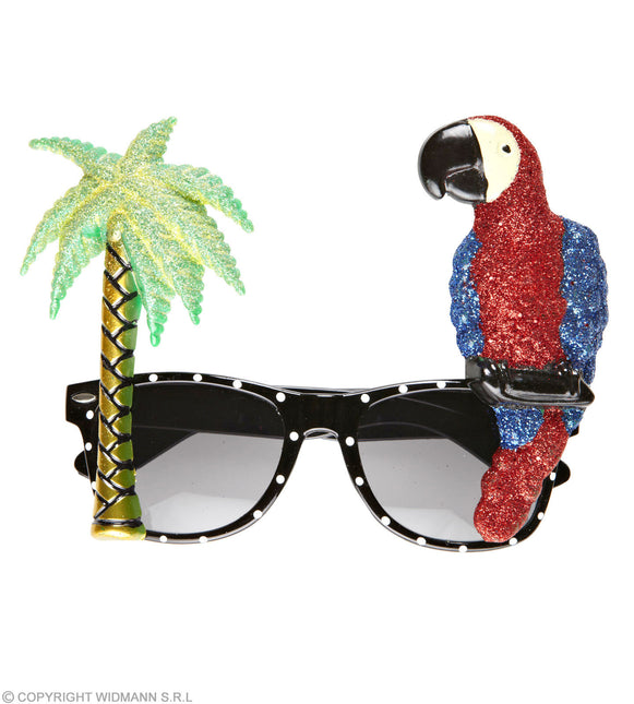 Lunettes Hawaii colorées