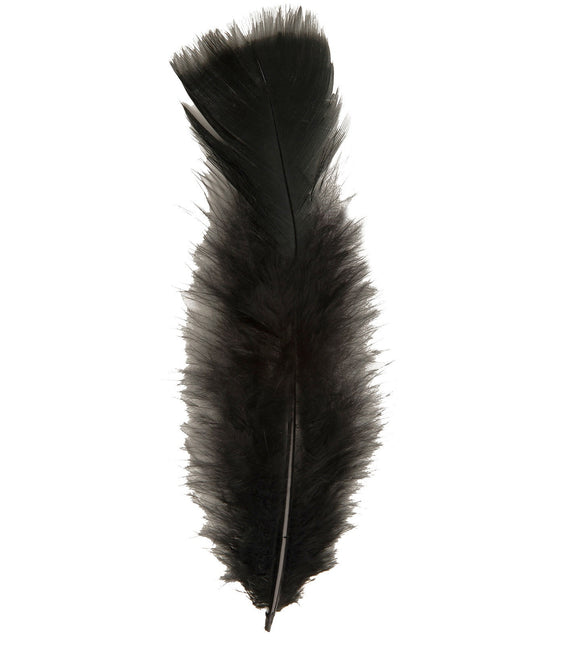 Plumes noires 50pcs