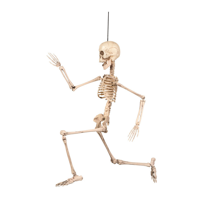 Squelette d'Halloween 50cm