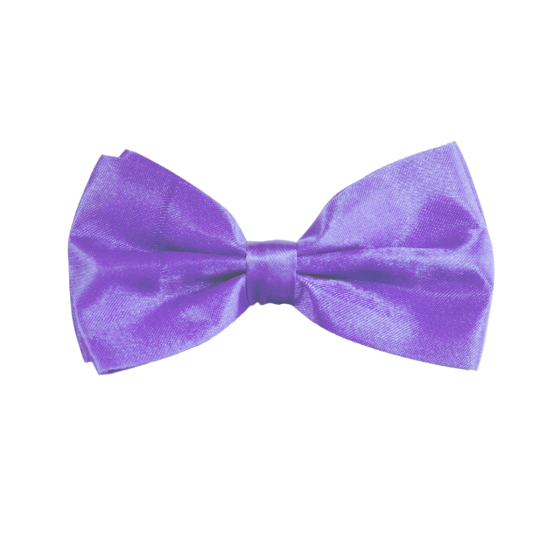 Nœud papillon violet