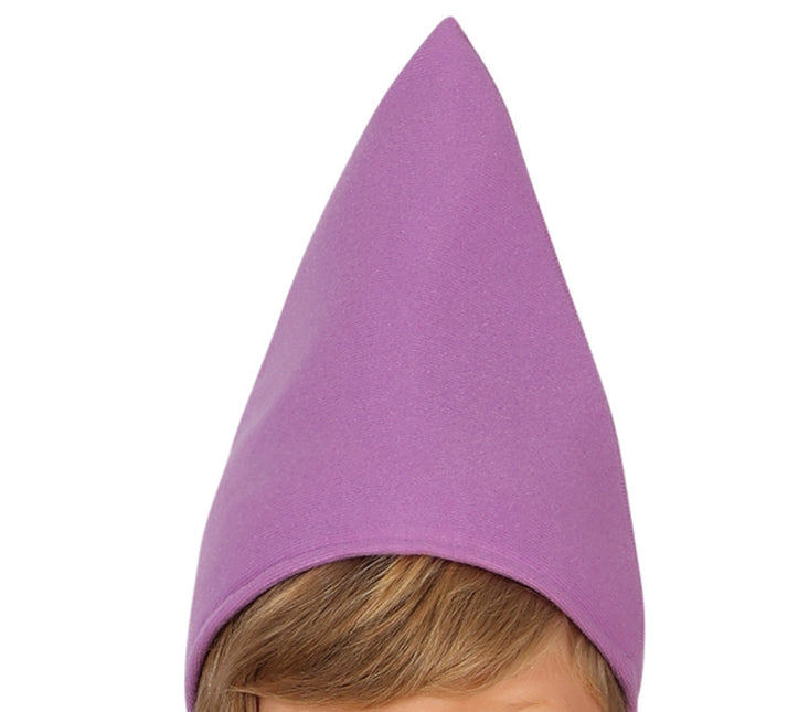 Costume de nain Garçon Gnome