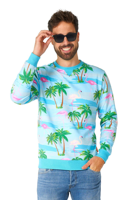 Pull Hawaii Flamingo Hommes OppoSuits