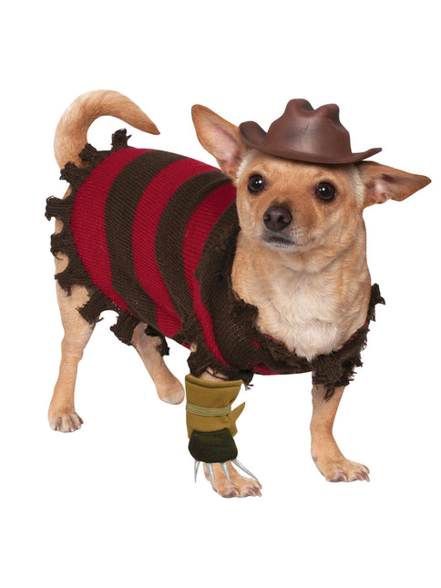 Costume d'Halloween pour chien Freddy Krueger