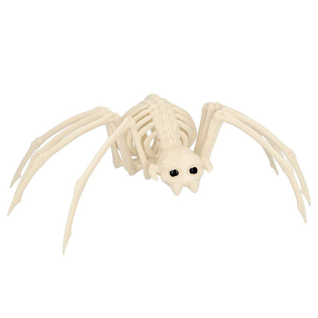 Halloween Araignée Squelette 35cm