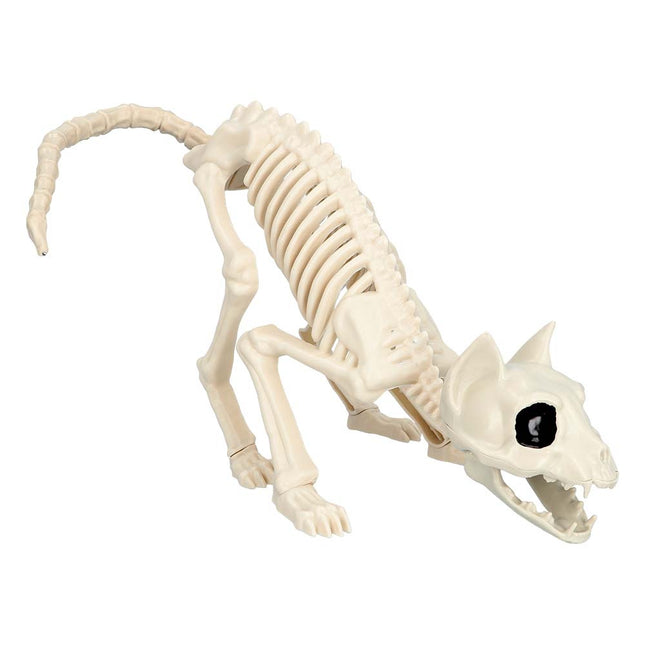 Halloween Squelette de chat 51cm