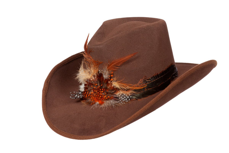 Plumes de chapeau de cow-boy