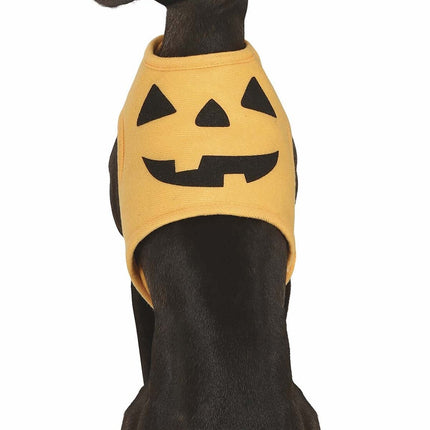 Animaux d'Halloween Costume Citrouille Mascotte