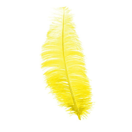 Plumes d'autruche jaunes 30cm 12pcs