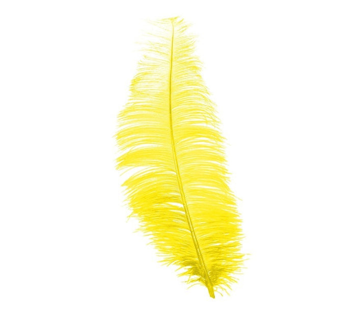 Plumes d'autruche jaunes 30cm 12pcs